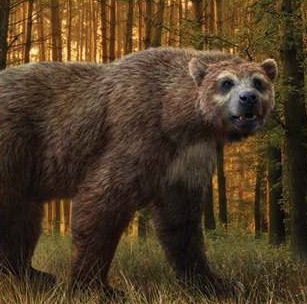 Арктодус (гигантский короткомордый медведь)