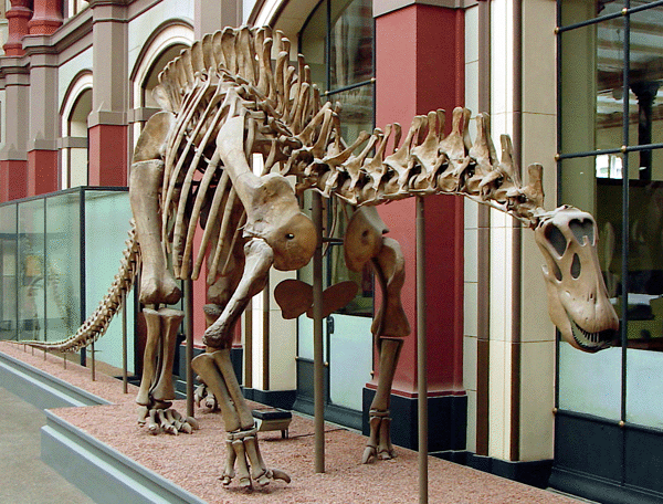 Дикреозавр
