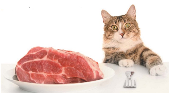 мясо для кошки