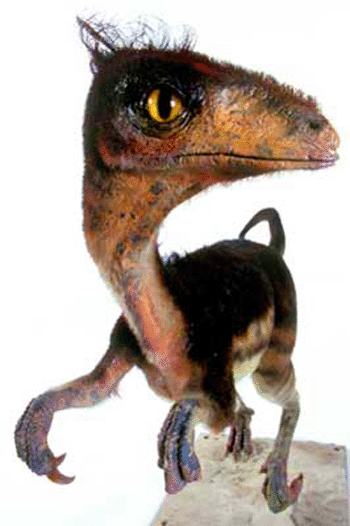 Синозауроптерикс