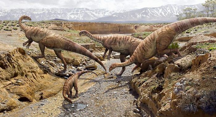 Первые динозавры