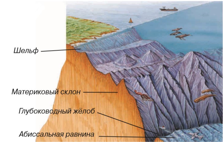 Строение моря схема