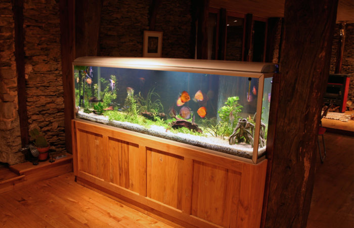 аквариум дома
