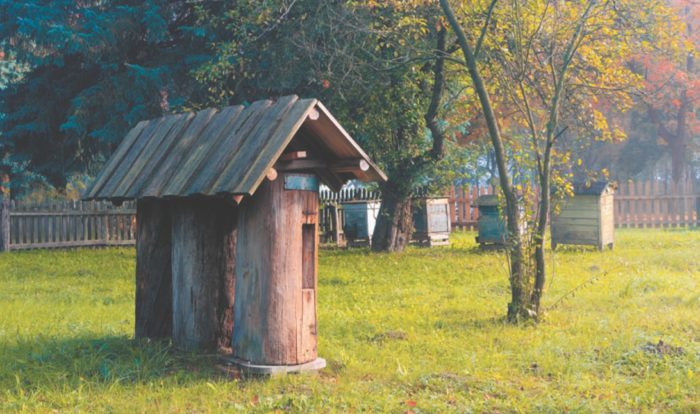 «Историческая» пасека (Мазурия, Польша)