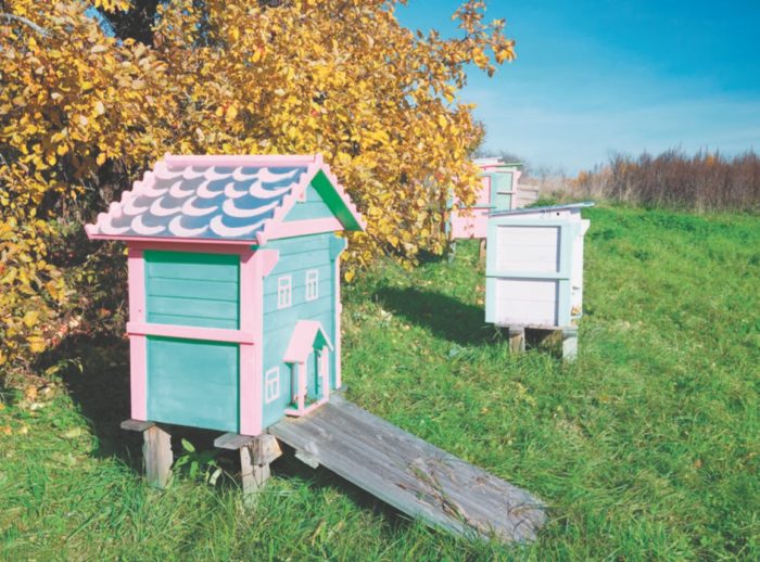 Пасека осенью