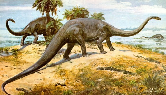 Хищные и травоядные динозавры