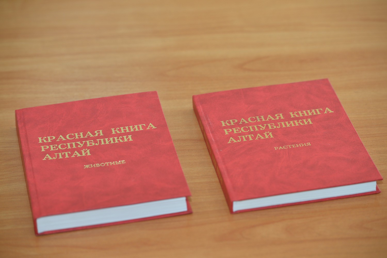 Краснокнижные животные Республики Алтай красная книга