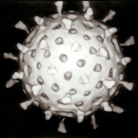 Ротовирус